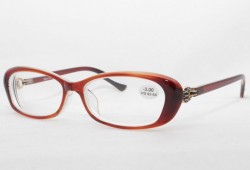 Готовые очки SALYRA 018 (C-3)